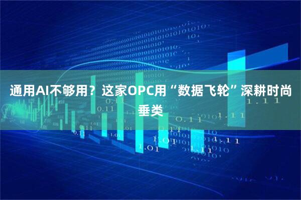 通用AI不够用？这家OPC用“数据飞轮”深耕时尚垂类